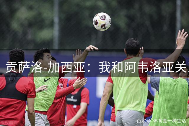 贡萨洛-加西亚：我和阿韦洛亚关系很好，他很信任我